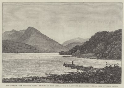 ウェールズの女性が女王に贈った女王の北ウェールズ訪問、バラ湖の写真 作： Edwin Pettitt